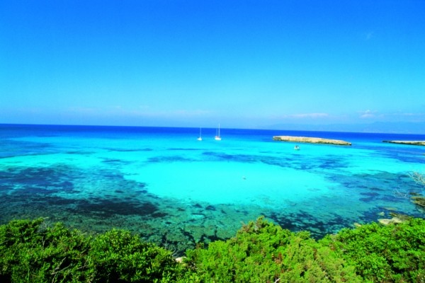 Coral Hotel Beach & Resort 5* 8 j/7 nuits, Paphos, Chypre