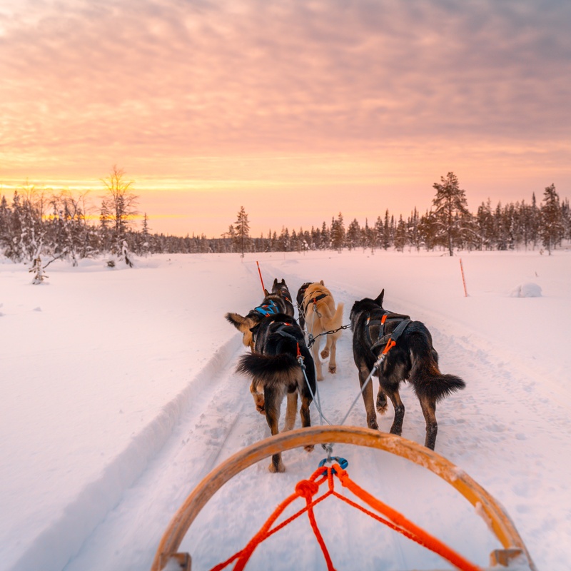 Séjour Évasion en Laponie : l’Hôtel Merihovi(8 jours/7 nuits en demi-pension) À partir de1299€