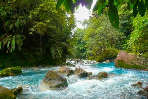 Circuit Autotour Faune & Flore du Costa Rica À partir de  2 273 €