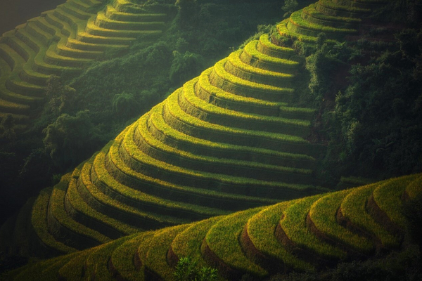 Circuit Good Morning Vietnam: 15 jours / 12 nuits à partir de 1 739€